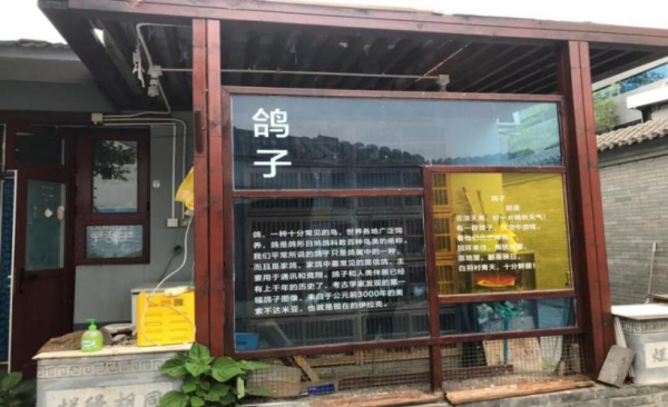 配亿多配资 盛世盛事 同心同行